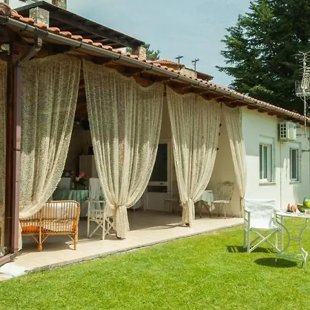 D&p House *