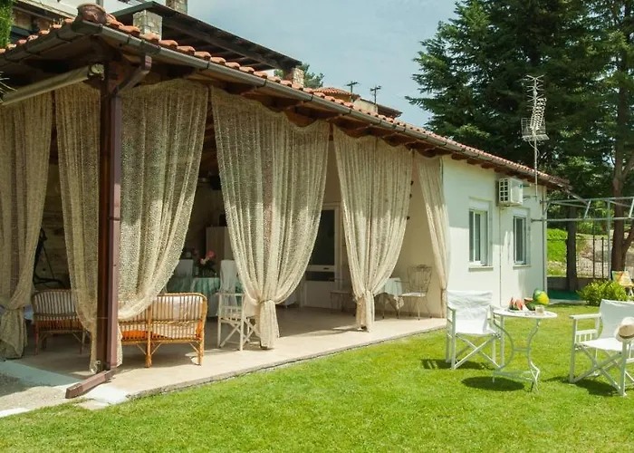 D&p House *